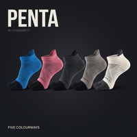 PENTA 01 - les cinq coloris disponibles